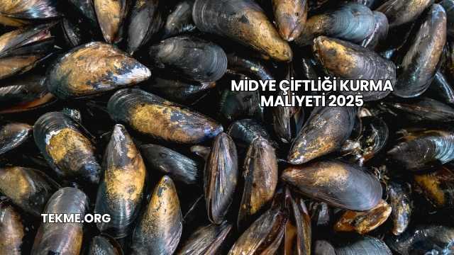 Midye Çiftliği Kurma Maliyeti 2025