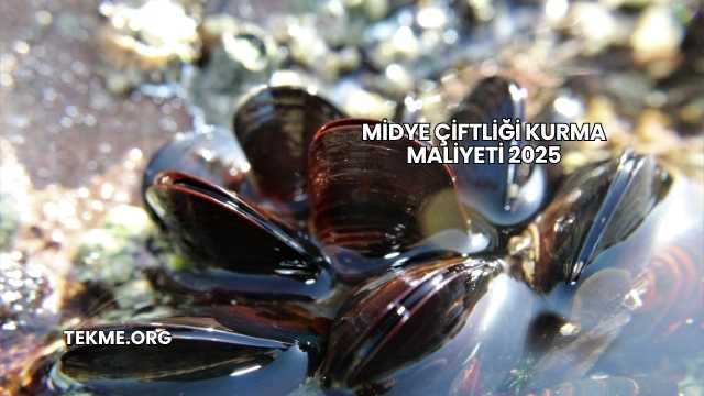 Midye Çiftliği Kurma Maliyeti 2025
