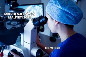 Mikroenjeksiyon Maliyeti 2025