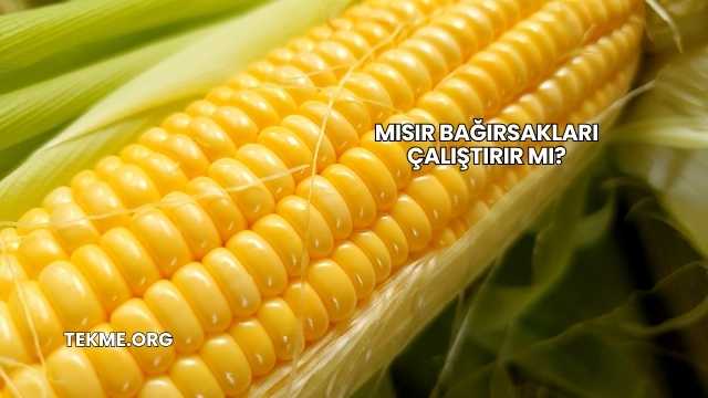 Mısır Bağırsakları Çalıştırır mı?