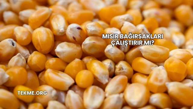 Mısır Bağırsakları Çalıştırır mı?