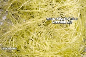 Mısır Püskülü Kilo Verdirir mi?