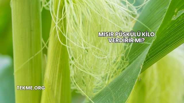 Mısır Püskülü Kilo Verdirir mi?
