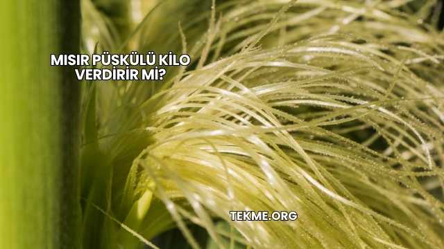 Mısır Püskülü Kilo Verdirir mi?