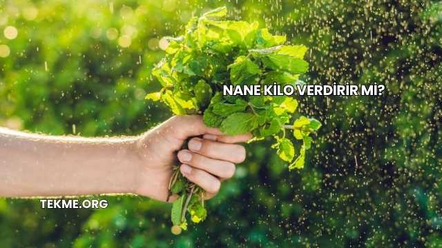 Nane Kilo Verdirir mi?