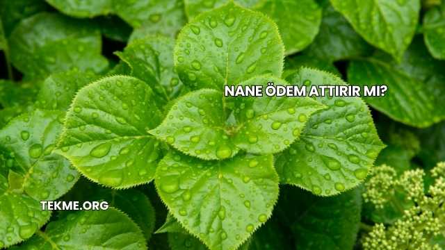 Nane Ödem Attırır mı?