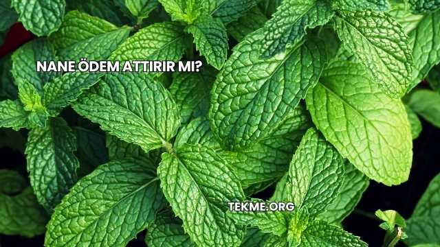 Nane Ödem Attırır mı?