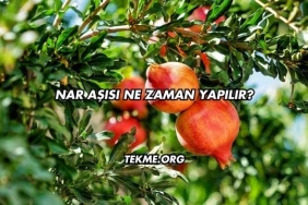 Nar Aşısı Ne Zaman Yapılır?