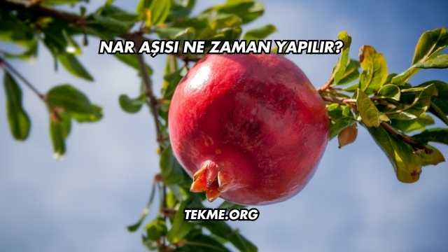 Nar Aşısı Ne Zaman Yapılır?