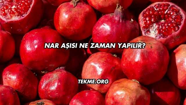Nar Aşısı Ne Zaman Yapılır?