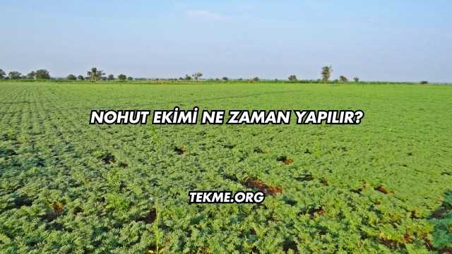 Nohut Ekimi Ne Zaman Yapılır?