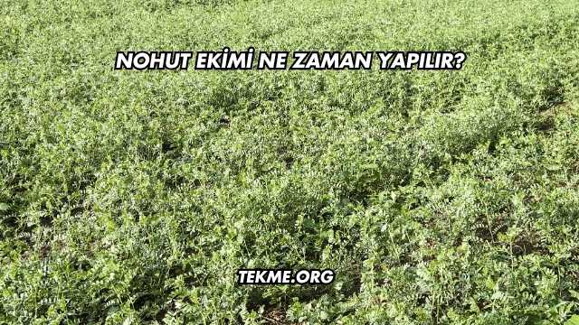 Nohut Ekimi Ne Zaman Yapılır?
