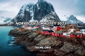 Norveç Gezi Maliyeti 2025