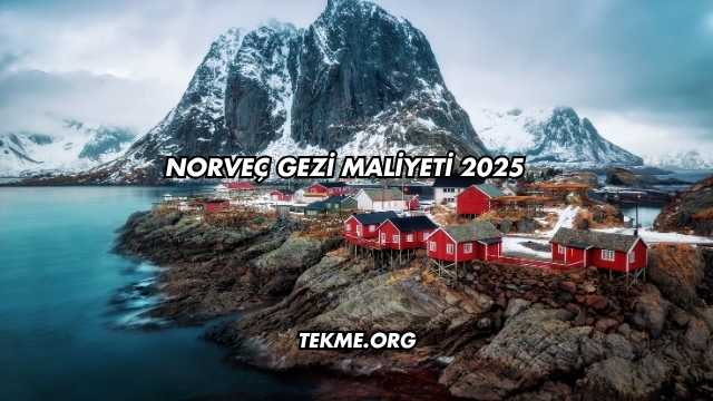 Norveç Gezi Maliyeti 2025