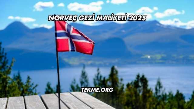 Norveç Gezi Maliyeti 2025