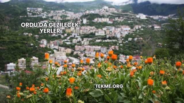 Ordu'da Gezilecek Yerler