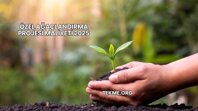 Özel Ağaçlandırma Projesi Maliyeti 2025