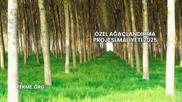 Özel Ağaçlandırma Projesi Maliyeti 2025