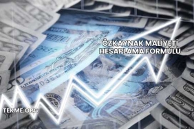 Özkaynak Maliyeti Hesaplama Formülü