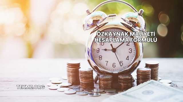 Özkaynak Maliyeti Hesaplama Formülü