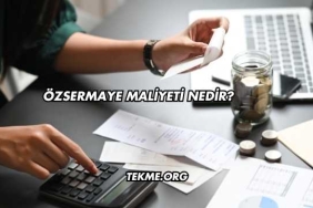 Özsermaye Maliyeti Nedir?
