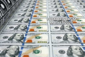 Paraların Basım Maliyeti 2025