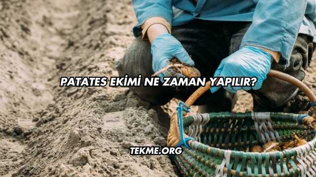 Patates Ekimi Ne Zaman Yapılır?