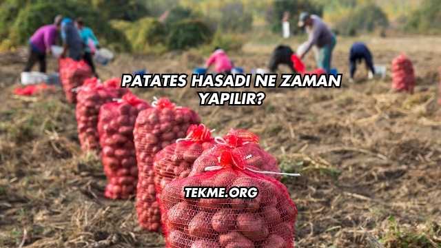 Patates Hasadı Ne Zaman Yapılır?