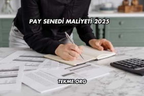 Pay Senedi Maliyeti 2025