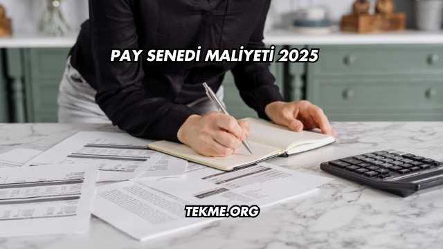 Pay Senedi Maliyeti 2025