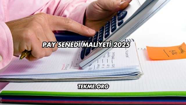 Pay Senedi Maliyeti 2025