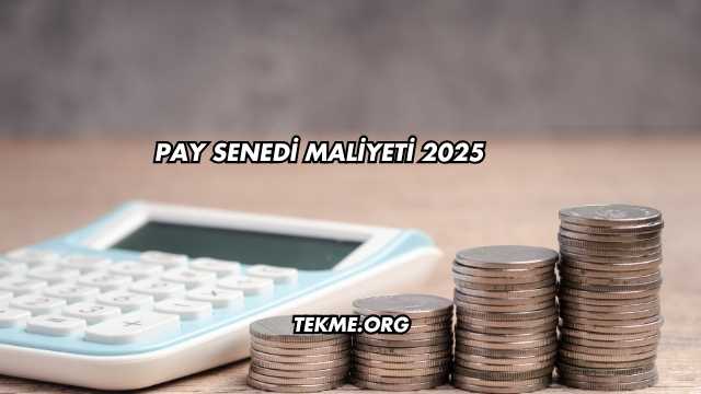 Pay Senedi Maliyeti 2025