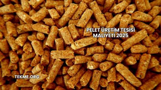 Pelet Üretim Tesisi Maliyeti 2025