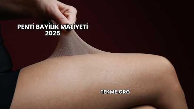 Penti Bayilik Maliyeti 2025