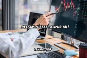Petkim Hissesi Alınır mı?
