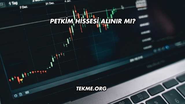 Petkim Hissesi Alınır mı?