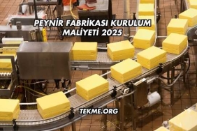 Peynir Fabrikası Kurulum Maliyeti 2025