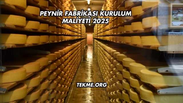 Peynir Fabrikası Kurulum Maliyeti 2025