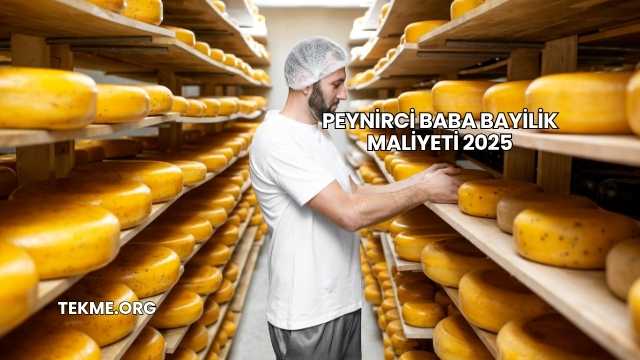 Peynirci Baba Bayilik Maliyeti 2025