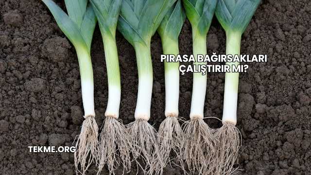 Pırasa Bağırsakları Çalıştırır mı?