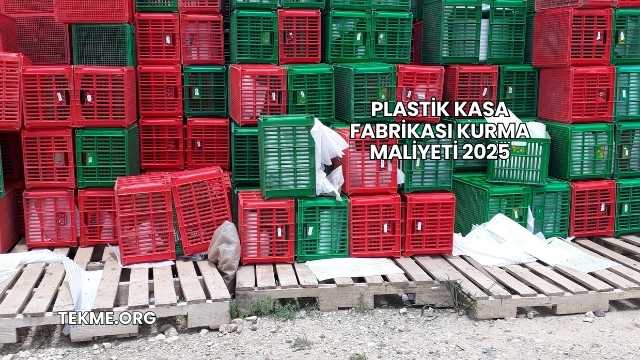 Plastik Kasa Fabrikası Kurma Maliyeti 2025