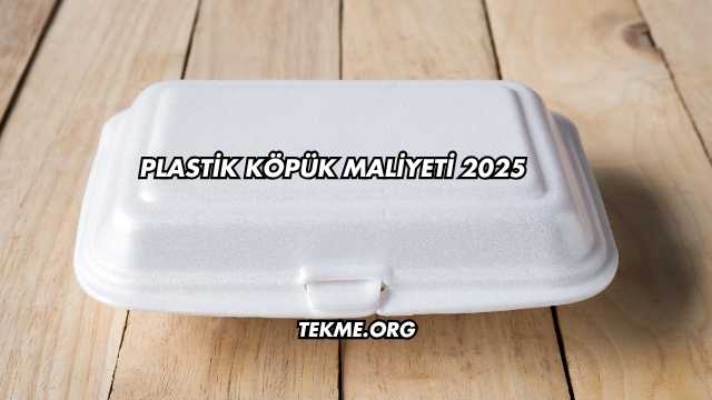 Plastik Köpük Maliyeti 2025