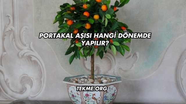 Portakal Aşısı Hangi Dönemde Yapılır