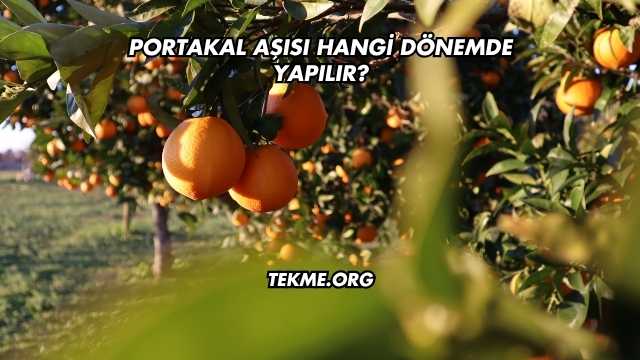 Portakal Aşısı Hangi Dönemde Yapılır