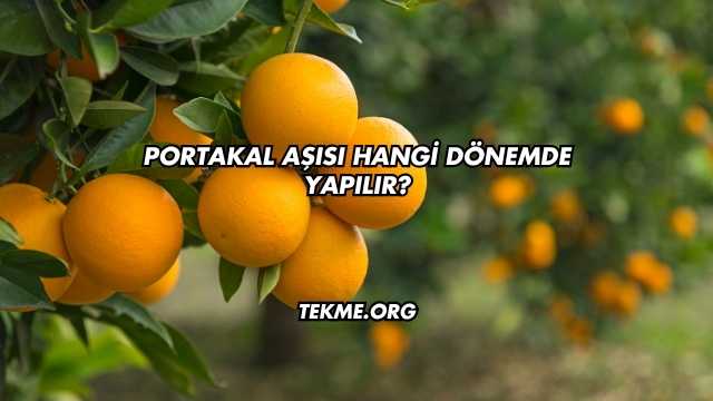 Portakal Aşısı Hangi Dönemde Yapılır
