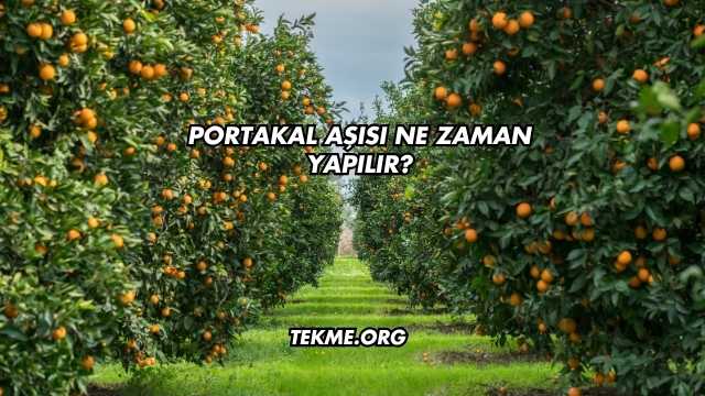Portakal Aşısı Ne Zaman Yapılır?