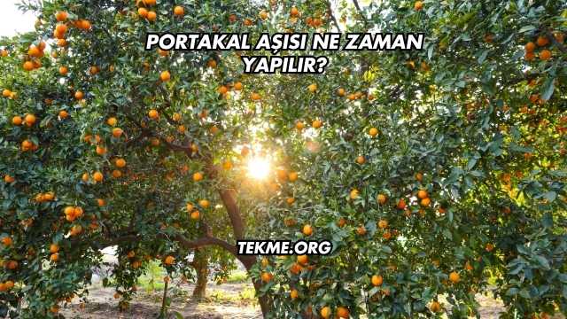 Portakal Aşısı Ne Zaman Yapılır?