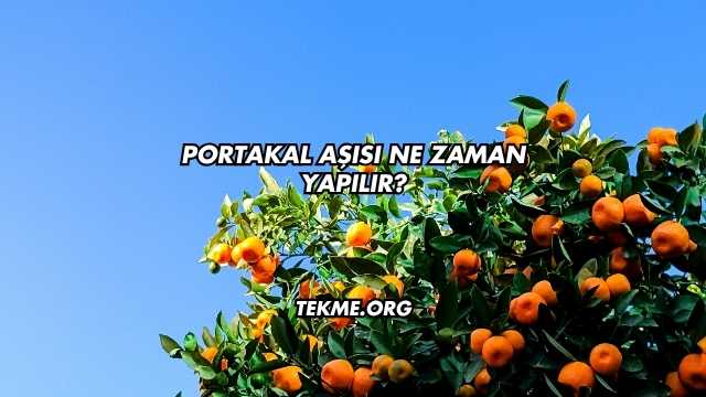 Portakal Aşısı Ne Zaman Yapılır?