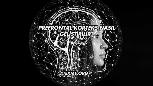 Prefrontal Korteks Nasıl Geliştirilir?