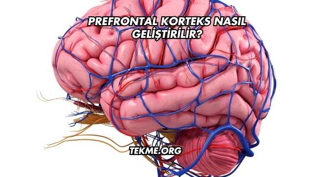 Prefrontal Korteks Nasıl Geliştirilir?